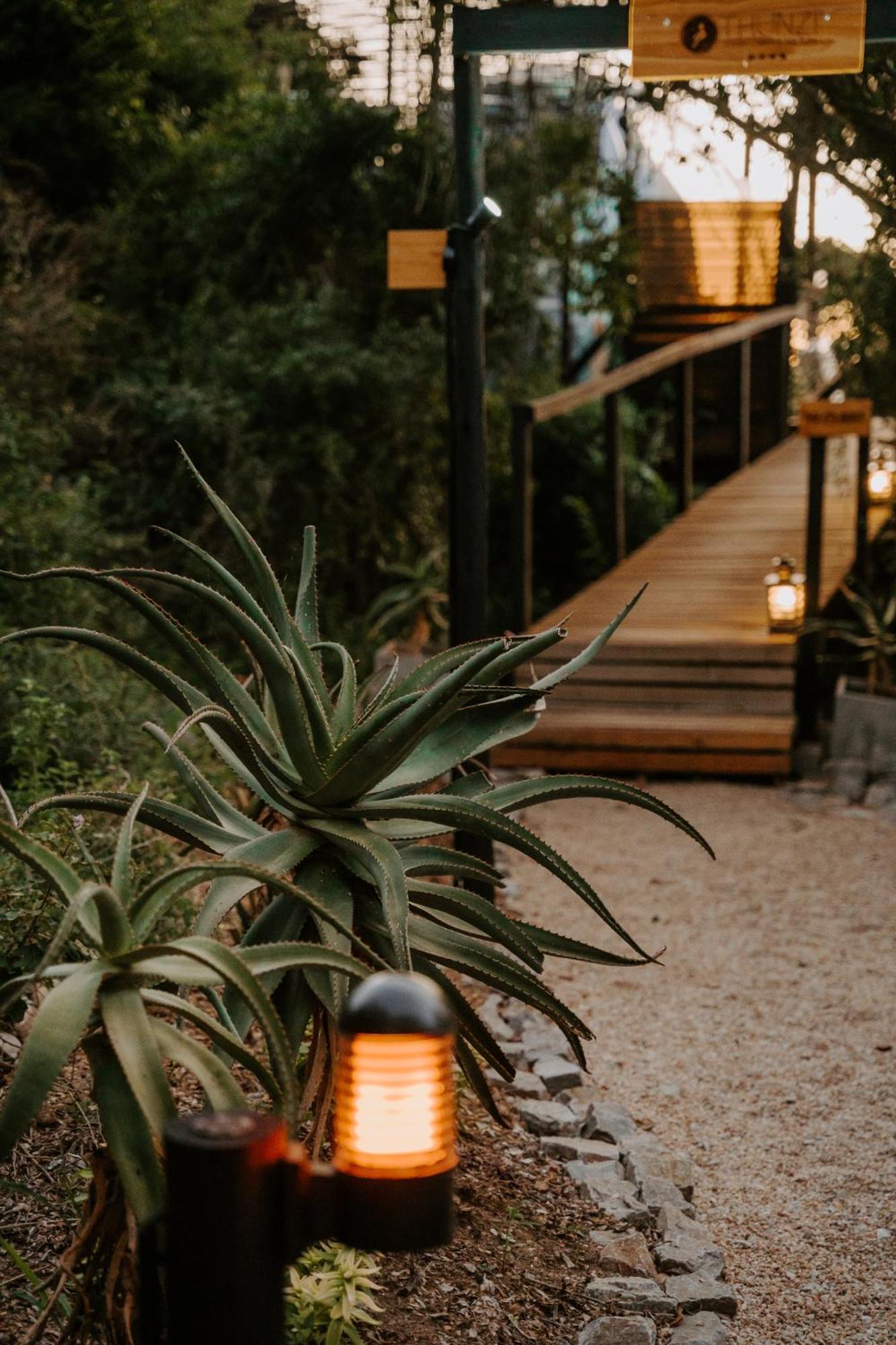 Thunzi Bush Lodge Beachview Extérieur photo